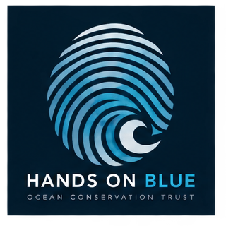Hands on Blue
